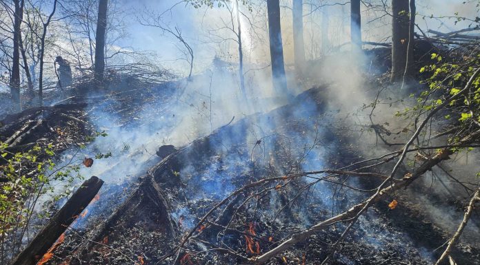 Incendiu de amploare în zona de munte a judeţului Cluj. Focul s-a extins pe o suprafaţă de peste 5 hectare, în apropiere de pădure / Intervenţia e dificilă din cauza terenului acccidentat şi a vântului – VIDEO
