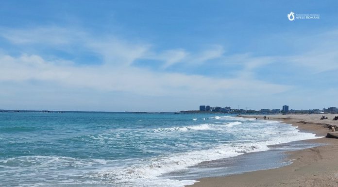 Componente metalice, eşuate pe plaja din Mamaia, găsite de poliţiştii de frontieră / Se fac cercetări pentru stabilirea provenienţei acestora