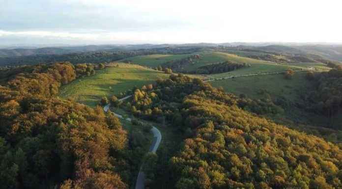 Oamenii de știință au descoperit o pădure preistorică, scufundată în Marea Nordului