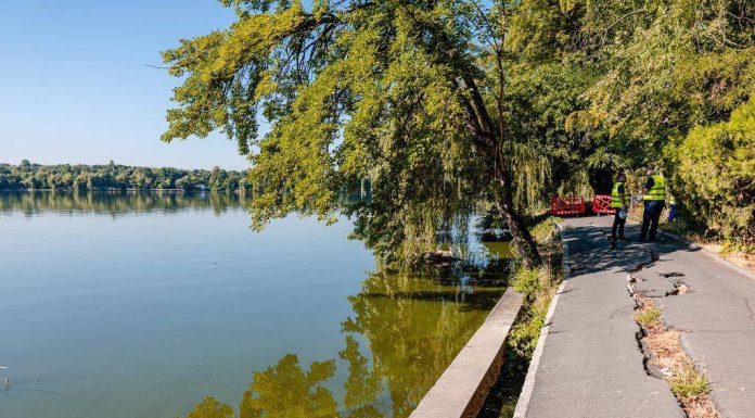 FOTO Restaurant din Herăstrău, amendat din cauza depozitării deșeurilor
