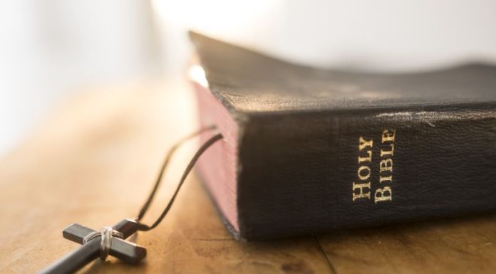 Smirna, planta sacră din Biblie care simbolizează sacrificiul și destinul lui Iisus. Ce reprezintă