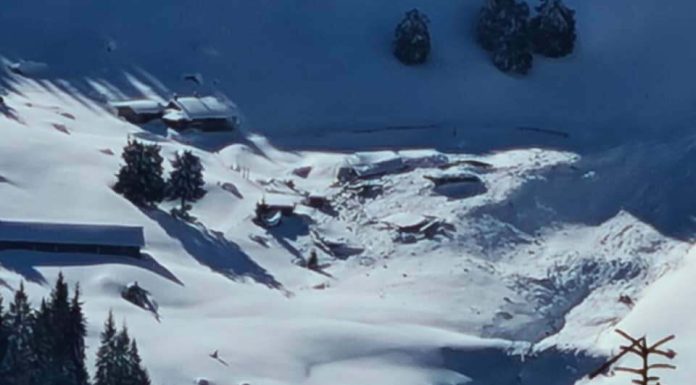 Ger puternic în Maramureș. Sunt minus 13°C în Munții Rodnei. Culturile pomicole, afectate de frig