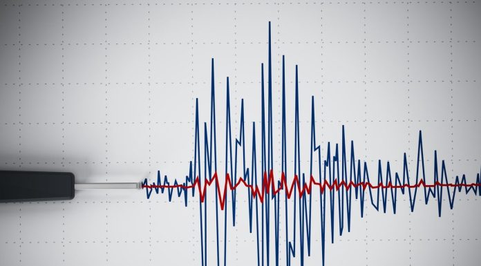 Cutremur puternic, cu magnitudinea 7,4, înregistrat luni. A fost emisă alertă de tsunami