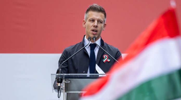 Peter Magyar i-a propus lui Volodimir Zelenski o întâlnire. Vrea să discute despre un subiect delicat pentru maghiari