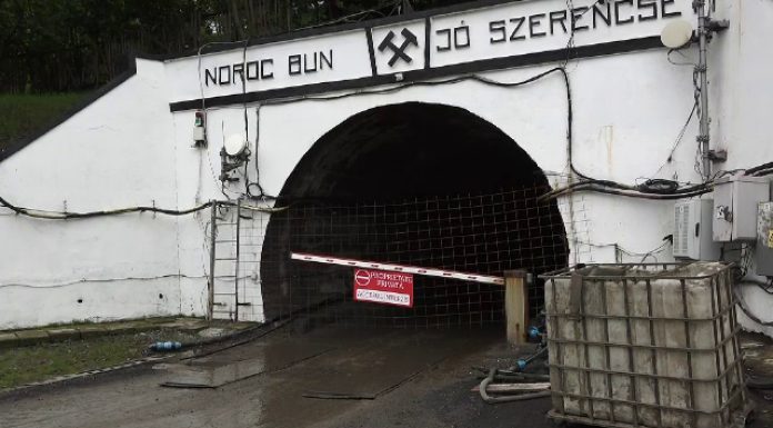 „Castorii au provocat dezastrul de la Salina Praid”. Un deputat USR a dezvăluit ce i-a fost dat să audă în Comisia de Mediu