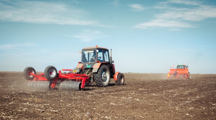 Studiu: Nanoplasticele absorbite de plante pot prezenta riscuri pentru sănătate. Avertismentul cercetătorilor