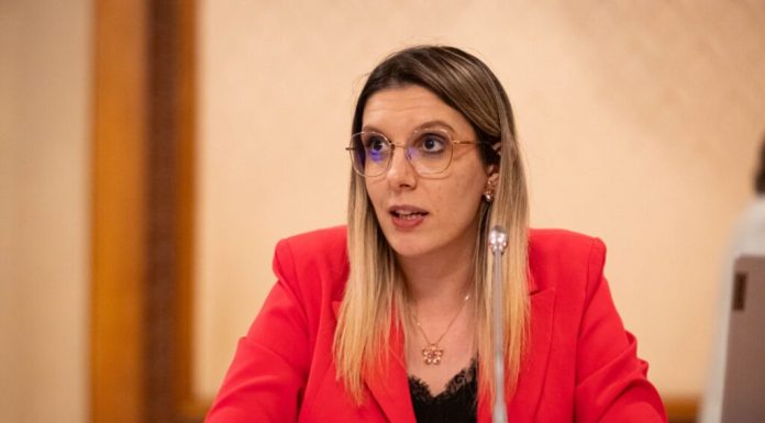 Diana Buzoianu: „Circul și populismul domină politica”