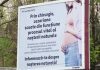 Diana Buzoianu reclamă panourile despre cezariană la ANPC și la primăriile din București