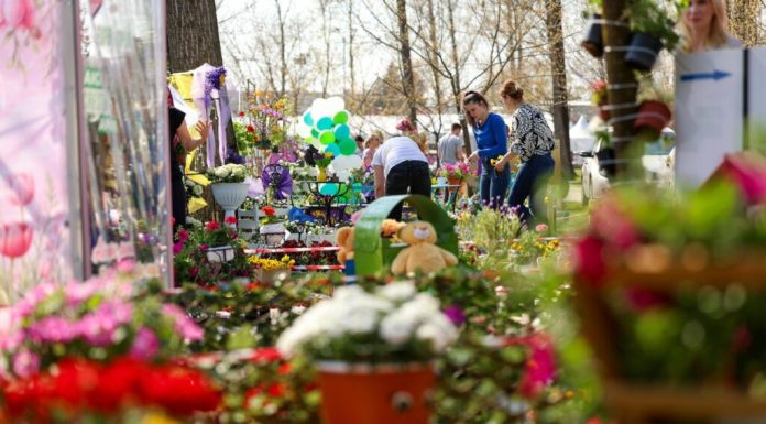 Simfonia Lalelelor aduce la Pitești florari din toată țara