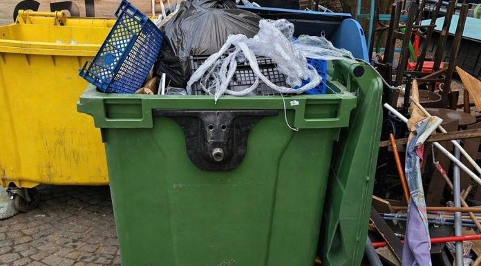 Restaurant din Herăstrău, amendat pentru a treia oară, din cauza depozitării necorespunzătoare a deşeurilor/ Poliţia Locală: Practic, curtea fusese transformată într-o magazie în aer liber – FOTO