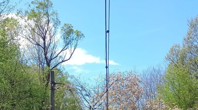 Trafic feroviar oprit temporar între staţiile Merişor şi Crivadia şi Topliţa – Răstoliţa, in judeţul Timiş, din cauza copacilor căzuţi pe linia ferată