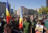Ministrul Mediului anunţă că Hotărârea de Guvern privind reorganizarea Romsilva nu se suspendă, o decizie în acest sens fiind obţinută în primă instanţă / Federaţia Silva anunţă că va continua demersurile