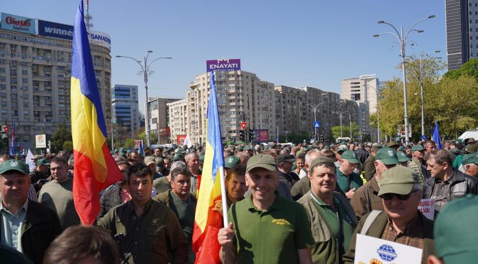 Ministrul Mediului anunţă că Hotărârea de Guvern privind reorganizarea Romsilva nu se suspendă, o decizie în acest sens fiind obţinută în primă instanţă / Federaţia Silva anunţă că va continua demersurile