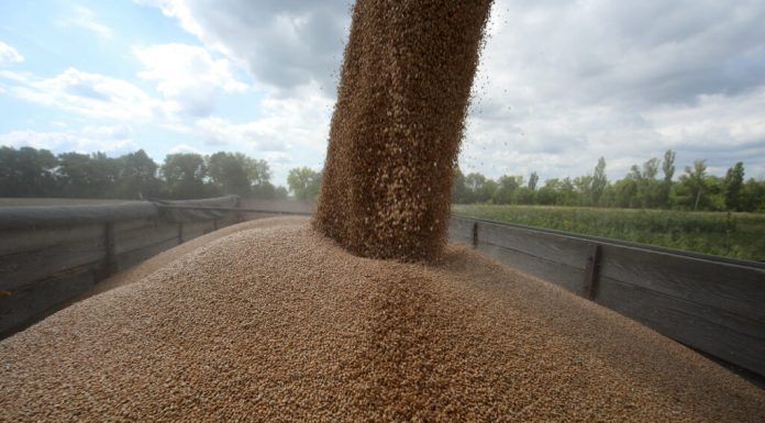 Ucraina acuză Rusia că exportă cereale furate în mai multe țări și anunță un răspuns diplomatic