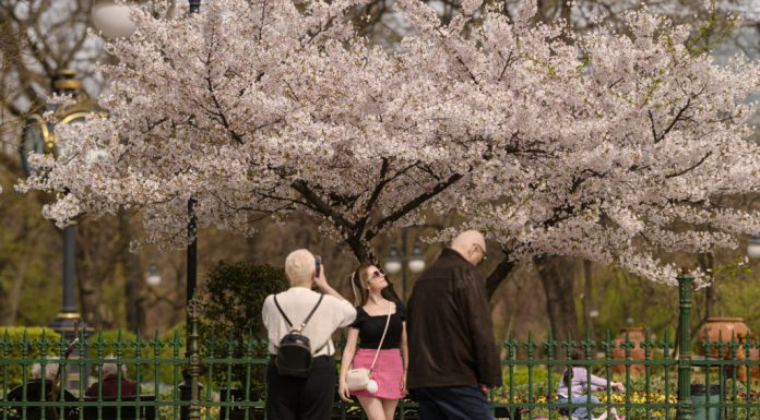 Prognoza pentru luna mai: Primăvară nu doar în calendar, ci și în termometre