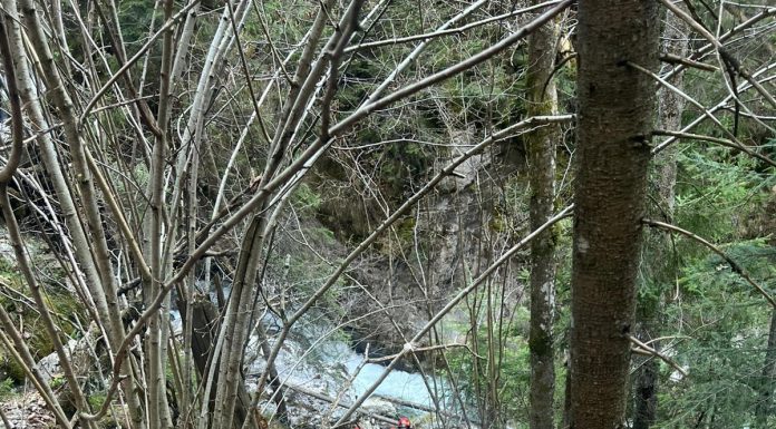 Bărbat căzut într-o prăpastie, în judeţul Neamţ. El a fost scos în viaţă şi predat unui echipaj medical – VIDEO