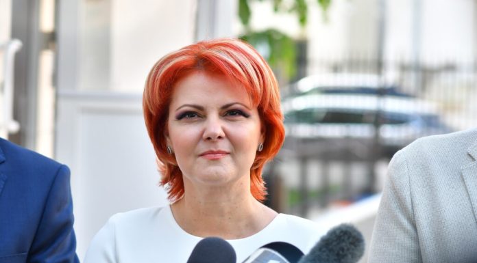 Lia Olguța Vasilescu: Dacă ar fi să dăm definiția crizei, acolo ar fi fotografia lui Bolojan