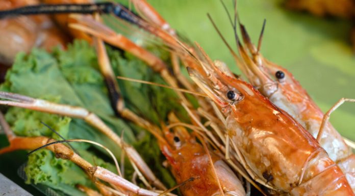 De la „deșeuri” la hrană: cum se transformă resturile din pește și fructe de mare într-o nouă oportunitate alimentară în Europa