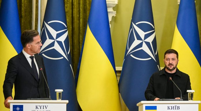 Zelenski, discuții cu Rutte despre programul PURL: Este important să ne coordonăm și să ne sprijinim reciproc