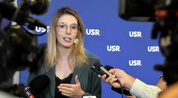 Diana Buzoianu: „Am trimis la avizare proiectul de Ordonanță de Urgență care face din distrugerea sau tăierea arborilor infracțiune”