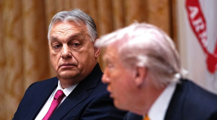 Lui Trump îi place să aleagă câștigători în alegeri străine. Orbán, cel mai mare test de până acum