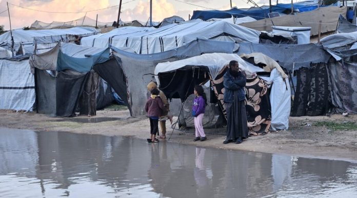 Linia a doua a frontului din Gaza / Șobolani cât iepurii nu se sfiesc să muște din oameni