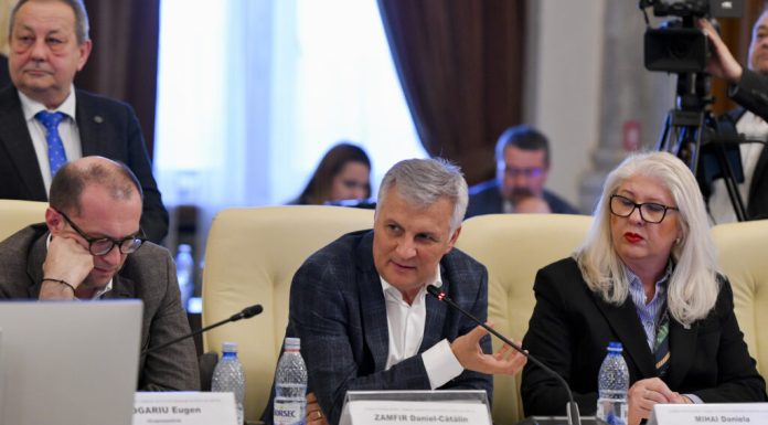 Liderul senatorilor PSD anunță o „ofensivă” în Senat pentru apărarea companiilor profitabile ale statului