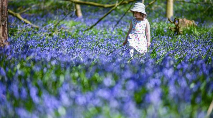 Prognoza meteo pentru următoarele 4 săptămâni: meteorologii anunță vreme mai caldă decât normalul perioadei