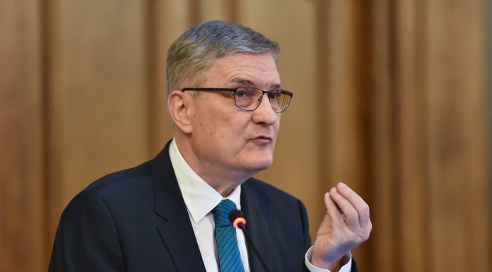 Daniel Dăianu, despre impozitul progresiv: „Argumentele că echitabilă este cota unică mi se par ridicole”