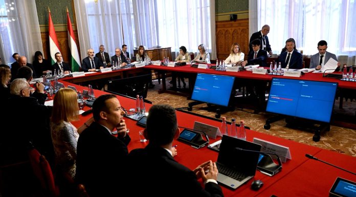 Tisza, partidul lui Peter Magyar, nu va sprijini partide noi în țările vecine și cere transparență în utilizarea fondurilor din Ungaria