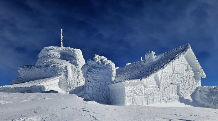 Cum arată viața pe Vârful Omu: meteorologii, înconjurați de vulpi, corbi și o pisică devenită mascotă