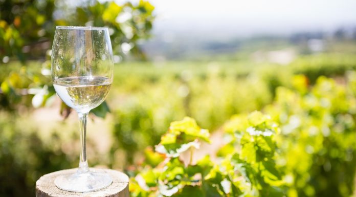 Comuna din Prahova care a devenit prima localitate oenoturistică din România. Alte câteva ar putea urma cât de curând
