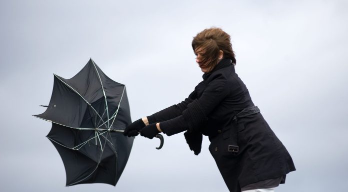 Alertă de vânt puternic în 21 de județe: ANM a emis cod galben. Care sunt zonele vizate și cum va fi vremea la București HARTĂ