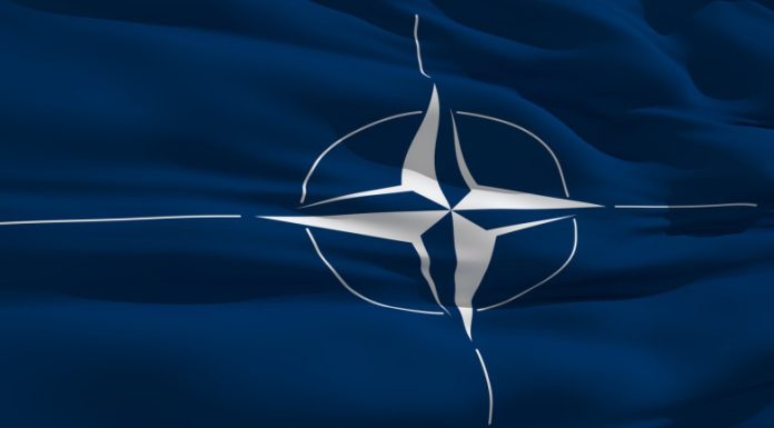 Culisele Forțelor Speciale NATO. Soldații de elită trimisi in luptă când misiunea e prea importantă pentru a da greș