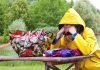 ANM: Vânt, ploi și ninsori în minivacanța de 1 Mai. Când este anunțată o încălzire spectaculoasă a vremii, peste normalul perioadei