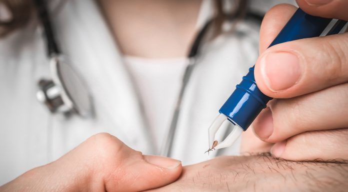 Căpușele, pericolul ascuns al verii: Medicii infecționiști explică ce boli transmit și cum recunoști rapid semnele mușcăturii