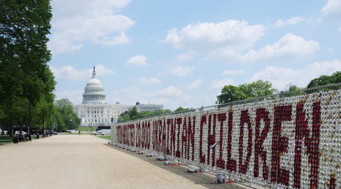 Un simbol cutremurător al copiilor răpiți din Ucraina: 20.000 de ursuleți de pluș, în Washington, în fața clădirii Capitoliului