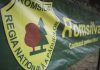 Instanţa respinge tentativa de suspendare a reformei Romsilva. Ministerul Mediului câştigă procesul privind HG de reorganizare a regiei
