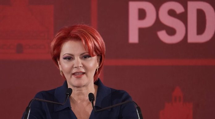 Olguța Vasilescu, val de atacuri la Bolojan: „Șobolanul cel mare are o singură sprânceană”