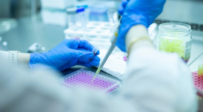 Date medicale de la 500.000 de persoane din Marea Britanie au fost scoase la vânzare pe un site chinez