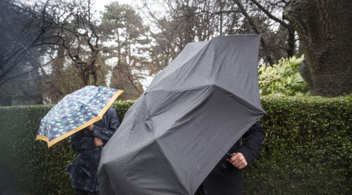 Vremea se răcește puternic în țară: sunt anunțate ploi, vânt puternic şi ninsori. ANM a emis noi alerte cod galben HARTĂ