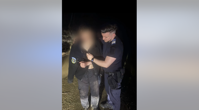 Tânăr, salvat de jandarmi după ce a fost fugărit de un urs. El şi-a aruncat lucrurile și motocicleta pentru a scăpa de animal