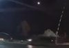 Suporter dinamovist, atacat în trafic de ultrași ai echipei Steaua București. Incidentul, soldat cu accident