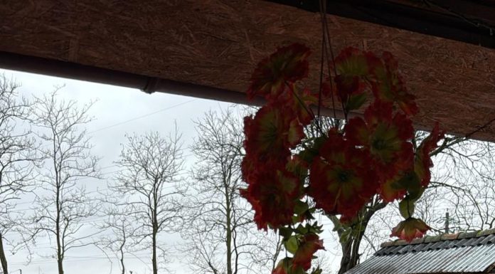 Ministerul Mediului lansează un ghid de soluții naturale pentru prevenirea inundațiilor. „Trebuie să acţionăm din timp, preventiv”