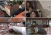 DSP a anulat autorizaţia de funcţionare a unui liceu de elită din Timişoara, unde elevii învaţă în igrasie, umezeală şi mucegai