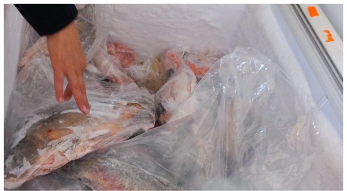 ANPC, amenzi de peste 4 milioane de lei la comercianți de pește. Comisarii au descoperit marfă alterată și condiții insalubre