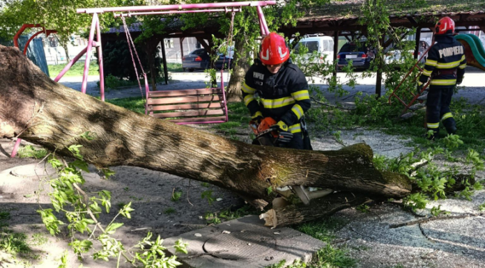 Vântul a făcut ravagii în țară: un mort, peste 100 de copaci căzuți și sute de intervenții. Care sunt județele cele mai afectate