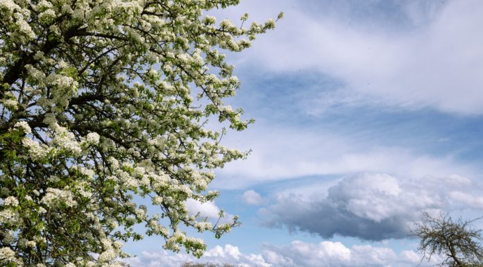 Vremea se răcește semnificativ. România, sub Cod Galben și Cod Portocaliu de vânt