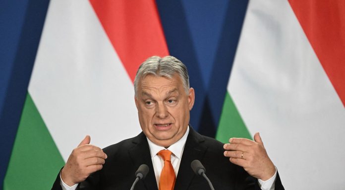 „Un simbol al corupției”. Zebre, bogăție și influență: alegerile din Ungaria pun la încercare controlul lui Viktor Orban asupra puterii
