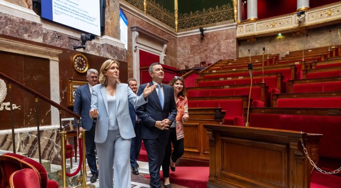 Grindeanu, după întâlnirea cu preşedinta Adunării Naţionale a Franţei: „Îmi doresc să continuăm pe calea pro-europeană”